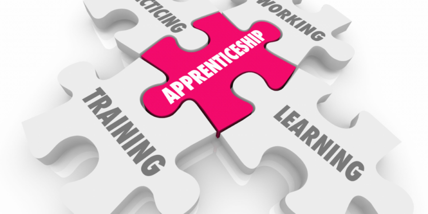 Uni or Apprenticeships: Next Big Steps